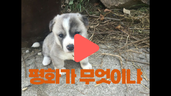 다른 세상을 만나는 40일 순례길 홍보 영상