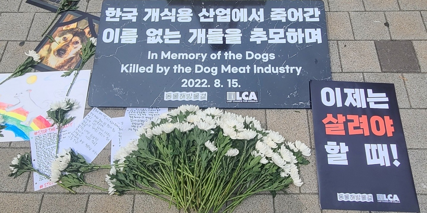 사진 설명 : 길바닥 위에 놓여진 피켓에 “한국 개식용 산업에서 죽어간 이름 없는 개들을 추모하며 라고 쓰여있다..